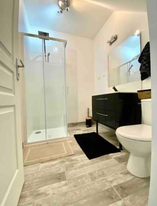 Appartement Centre Ville Saint-Amand-Mont-Rond Εξωτερικό φωτογραφία